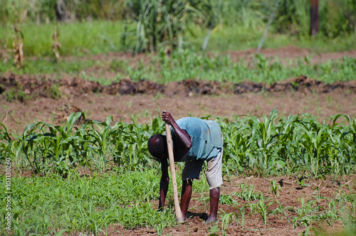 Foto African Farmer - Malawi