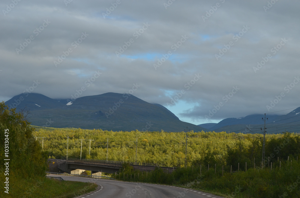 Clouds and sun on birch forest next to road in Abisko, subarctic mountains, Swedish Lapland Clouds and sun on birch forest next to road in Abisko, subarctic mountains, Swedish Lapland