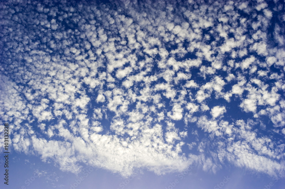 Obraz premium Wavy cloud in the blue sky