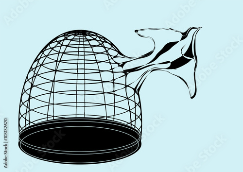 bird and cage