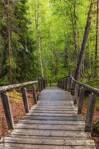 Treppe im Oulanka Nationalpark  © Anja B. Schäfer