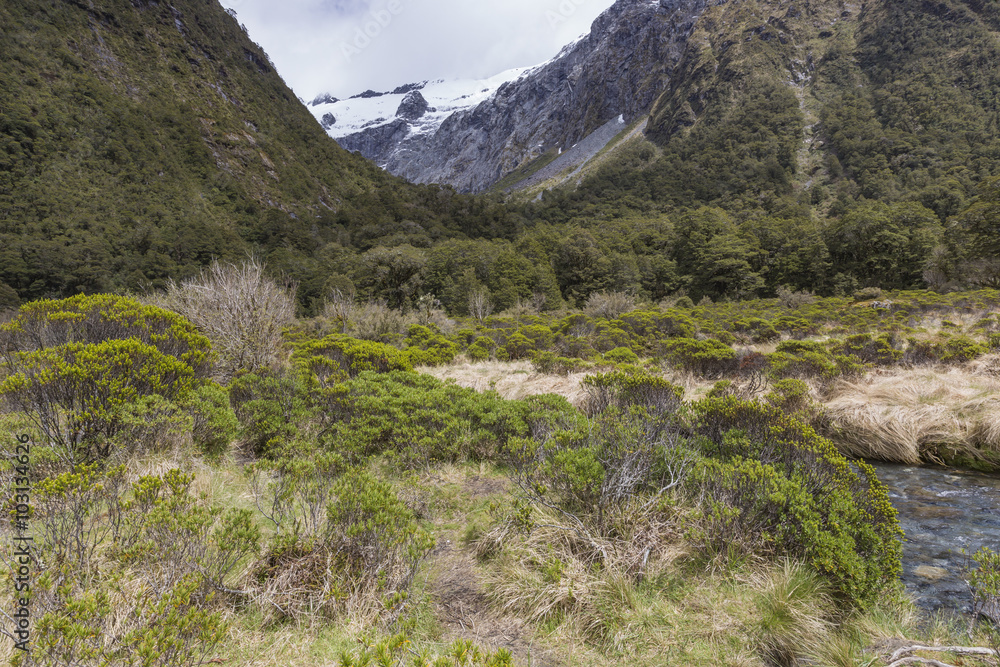 milford road along cleddau valley with the view of fiordland nat milford road along cleddau valley with the view of fiordland nat