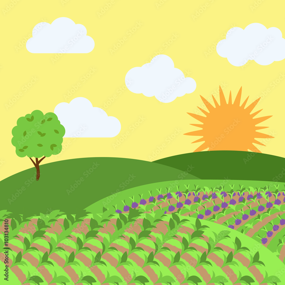 Obraz premium Vector Farm Themed Background