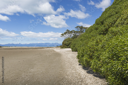 Calm seas of the Abel Tasman National Park, South Island, New Ze