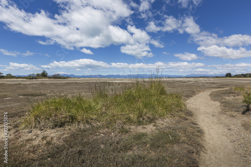 Motueka landscape near Abel Tasman National Park  South Island 