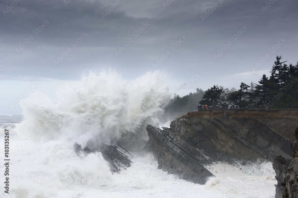 Swells of a Decade Crashing Against the Cliffs of Shore Acres State Park, Coos Bay Oregon Swells of a Decade Crashing Against the Cliffs of Shore Acres State Park, Coos Bay Oregon