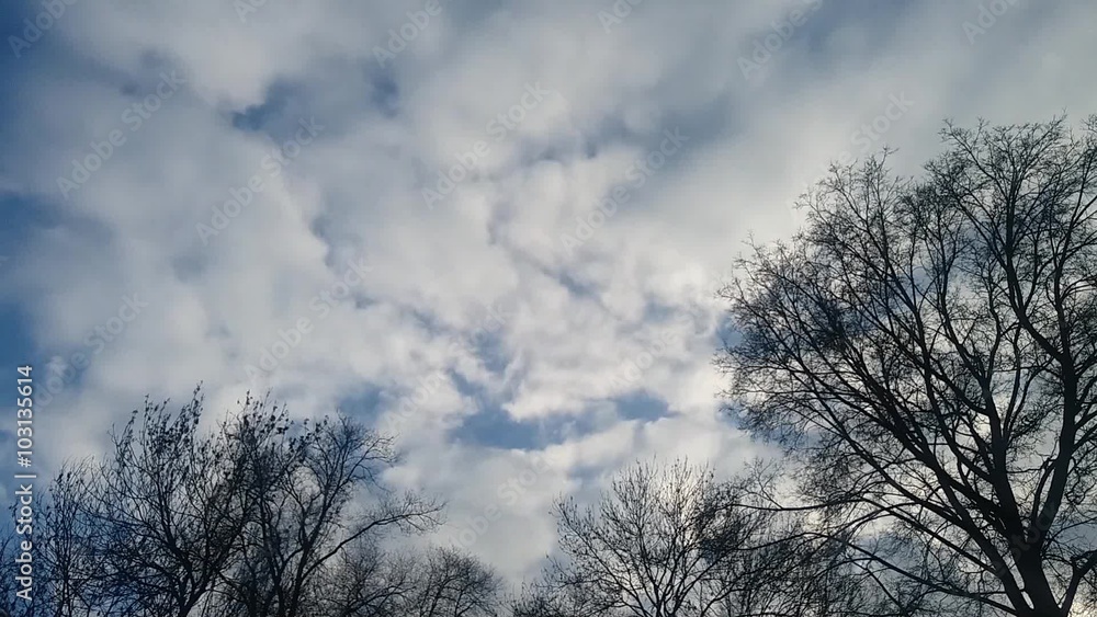 Zeitrafferaufnahme von blauen und grauen Wolken im blauen Himmel und kahl Bäume Zeitrafferaufnahme von blauen und grauen Wolken im blauen Himmel und kahl Bäume