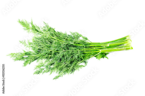 Bunch of fresh dill Isolated on white