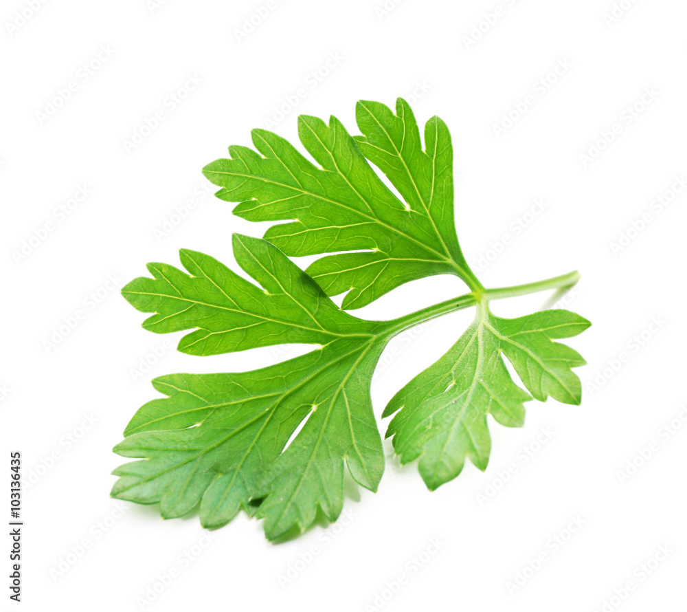 Fototapeta premium Fresh parsley isolated on white