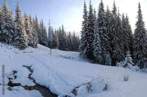 Mountain river in winter landscape