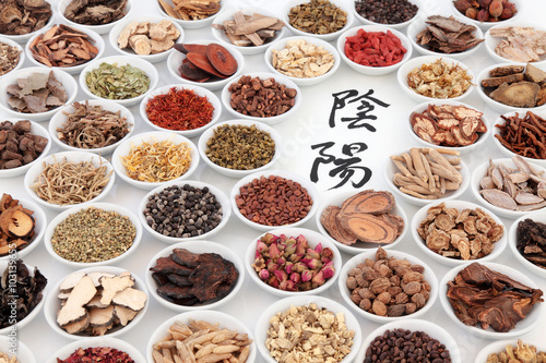 Yin and Yang Chinese Herbs