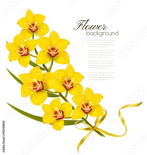 Holiday flowers background with yellow orchids and gold ribbon.