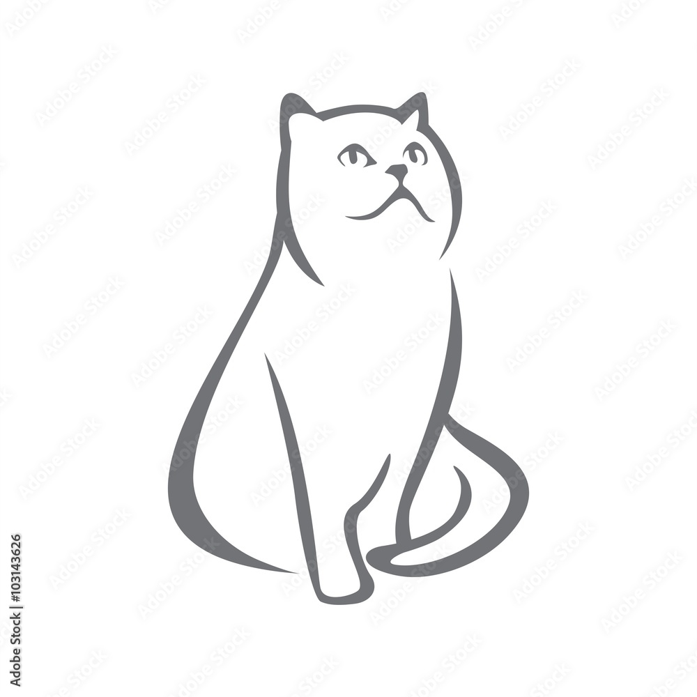 Persian cat abstract Persian cat abstract