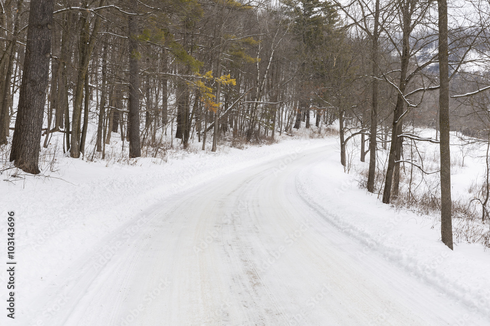 Obraz premium Winter Road In Woods
