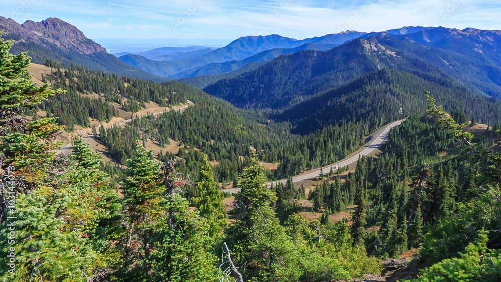 Hurricane Ridge, Olympic National Park, WA, USA Hurricane Ridge, Olympic National Park, WA, USA