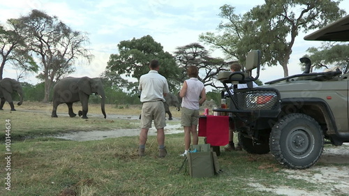 Travel and Tourism.Tourists enjoying sundowner with elephants walking in the background