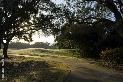 Walking path in Florida residential area