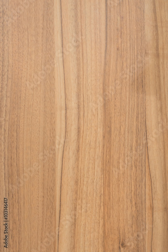 Texture of wood background closeup