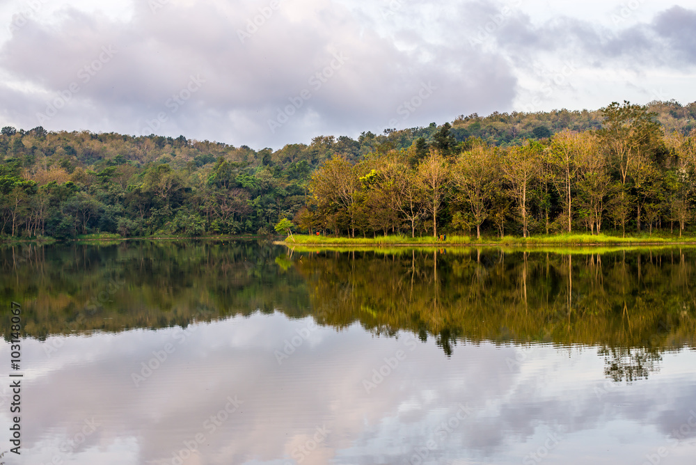The Reservoir at Jedkod Pongkonsao Natural Study and Ecotourism Center, Saraburi, Thailand