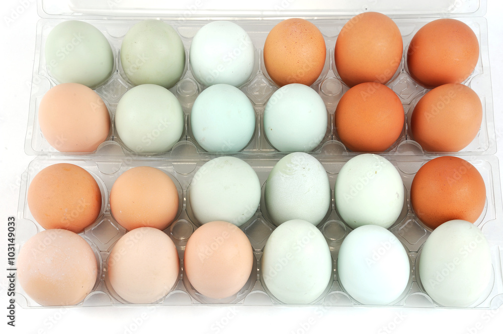 different color chicken eggs in container