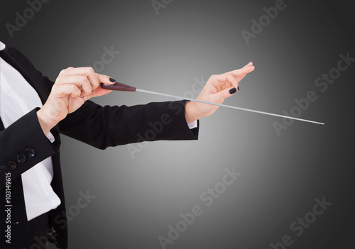 Εκτύπωση καμβά Female Music Conductor's Hands Holding Baton