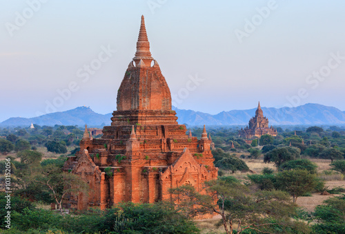 The Temples of Bagan at sunset  Bagan  Myanmar