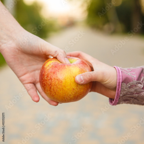 woman giving an apple girl hands closeup