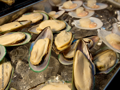 Group of fresh green shell mussels on ice photo