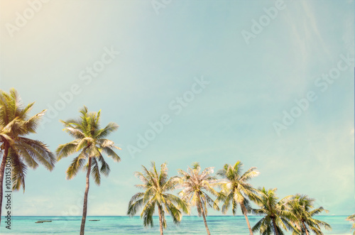 Fototapeta Naklejka Na Ścianę i Meble -  Coconut palm tree on beach in summer - vintage color effect