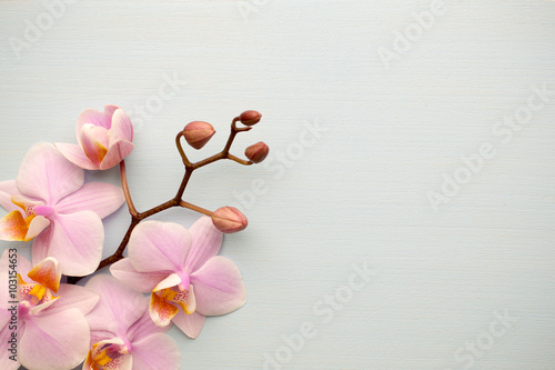 Fototapeta Naklejka Na Ścianę i Meble -  Spa.