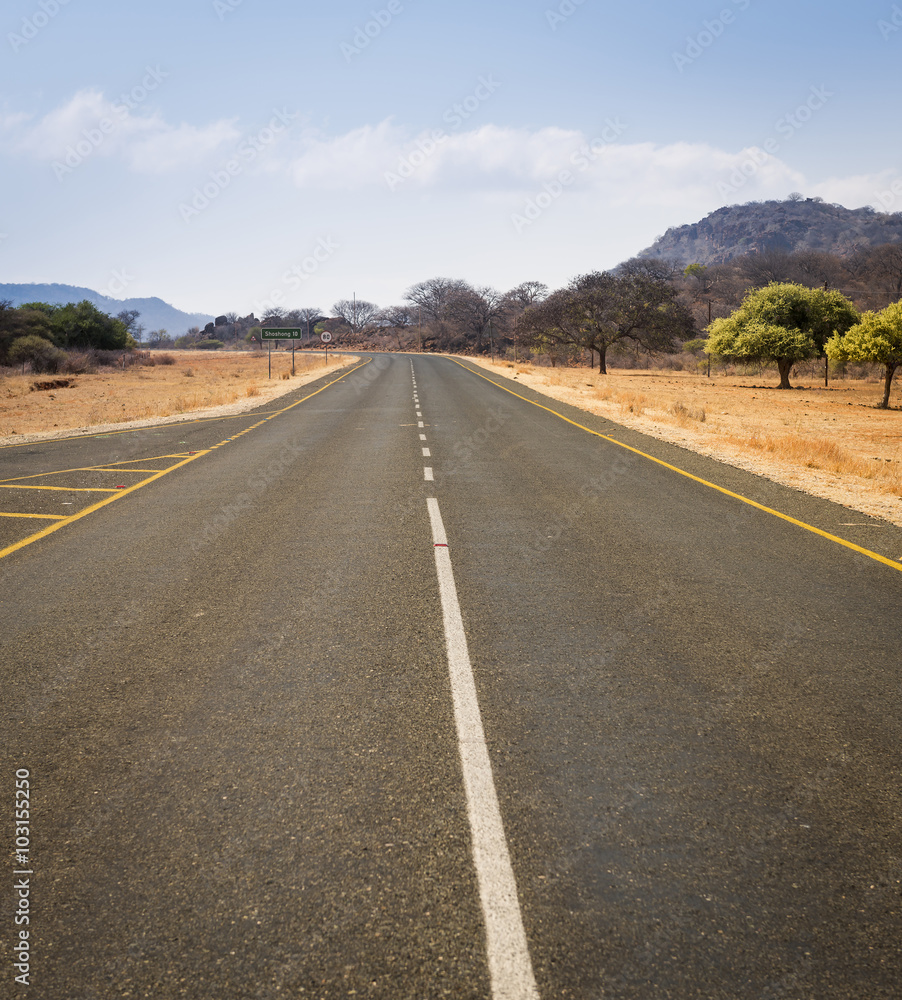 Botswana Road