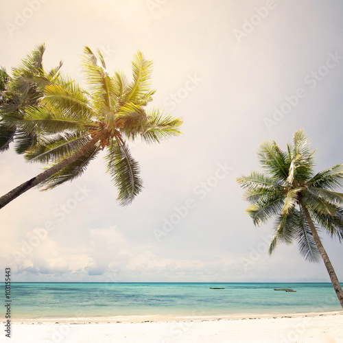 Fototapeta Naklejka Na Ścianę i Meble -  Landscape of coconut palm trees at tropical beach coast, vintage color tone and retro stylized