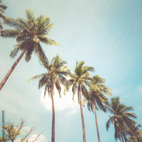 Coconut palm tree on tropical beach in summer - vintage colour effect photo