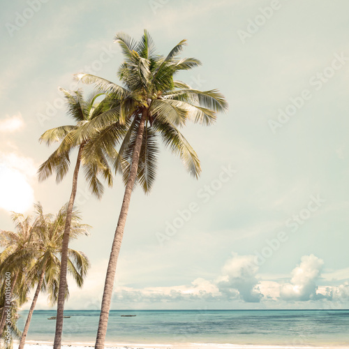 Fototapeta Naklejka Na Ścianę i Meble -  Coconut palm tree on beach in summer - vintage color effect