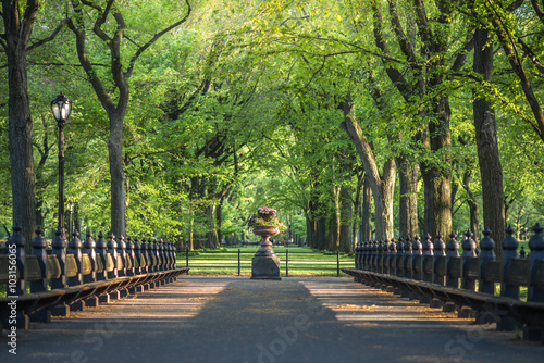 Fototapeta Naklejka Na Ścianę i Meble -  Central Park. Image of The Mall area in Central Park, New York City, USA
