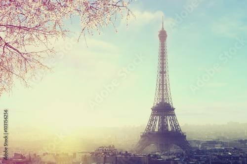 Aerial view of Paris cityscape with Eiffel tower at sunset Vintage colored picture. Business, Love and travel concept © sergeialyoshin