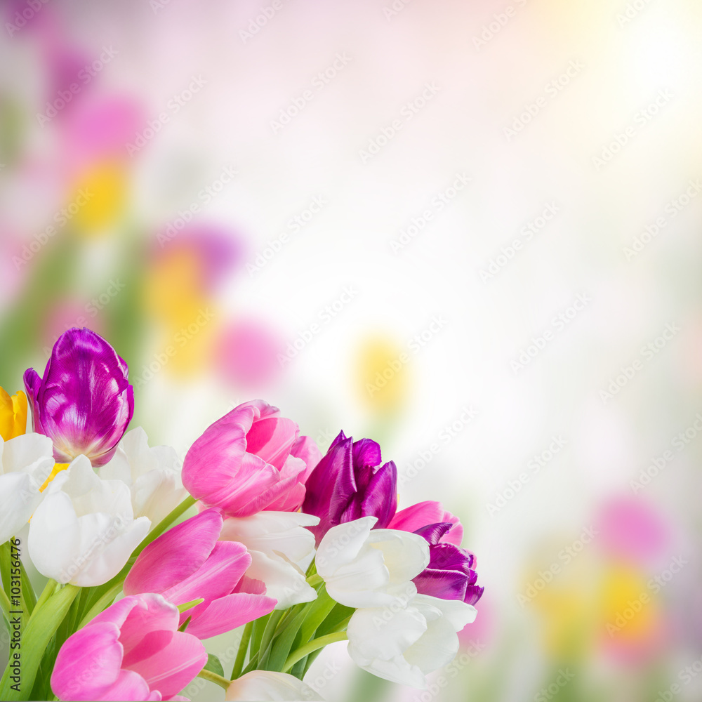 Obraz premium Floral background