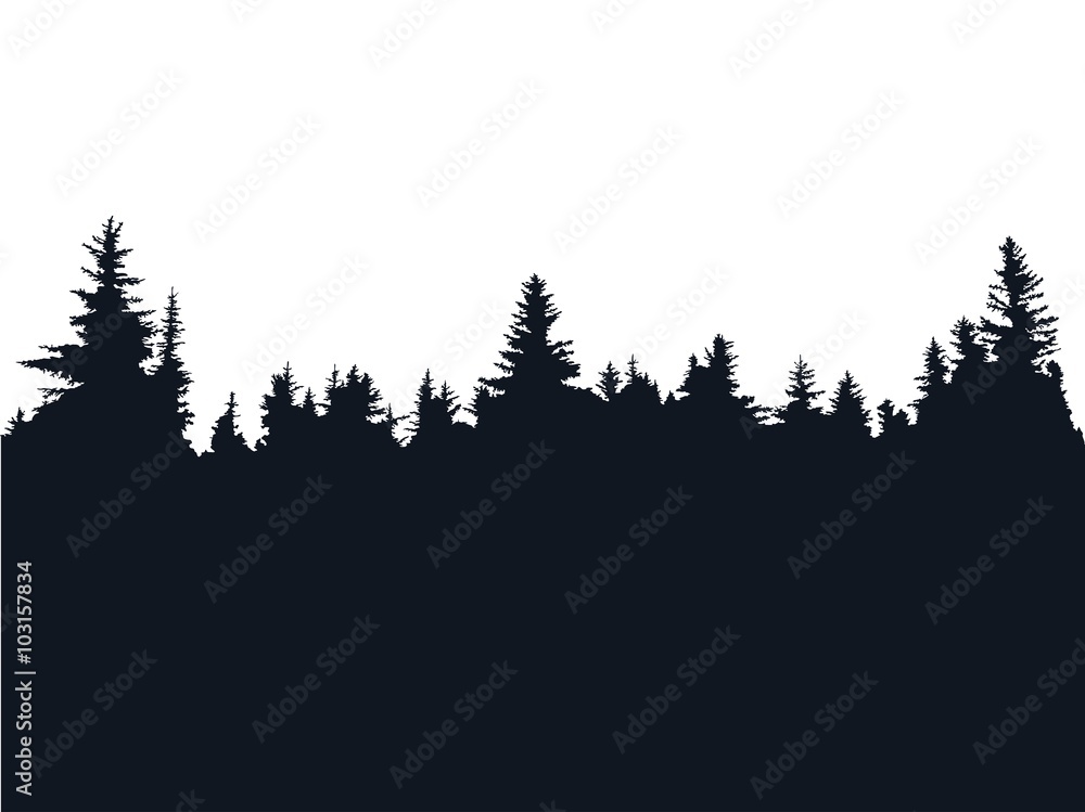 Fototapeta premium Forest silhouette