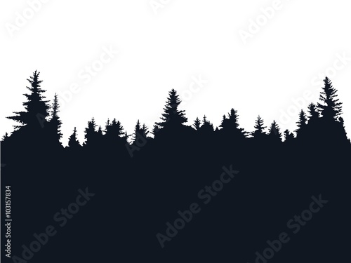 Forest silhouette