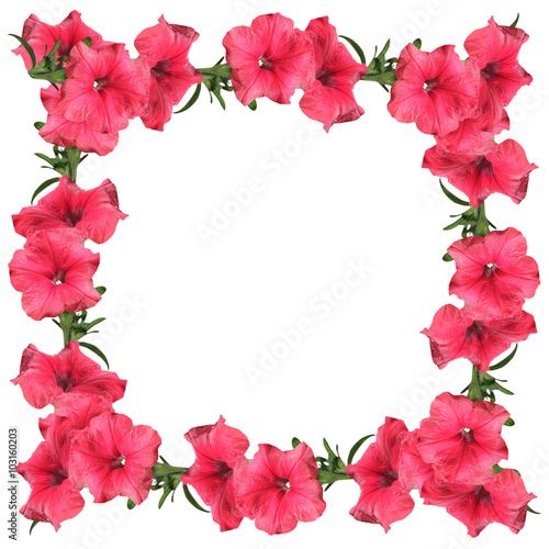 Wallpaper Mural Pink flower on a white background. Petunia  Torontodigital.ca