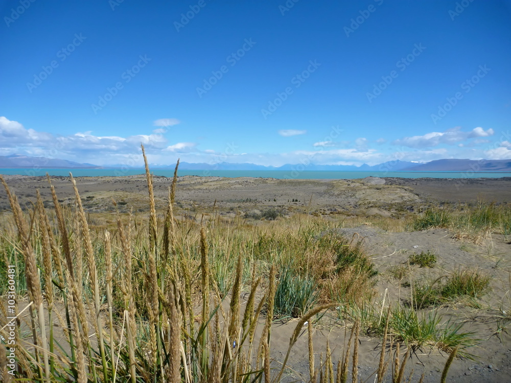 wide grassy pampa in argentinian patagonia