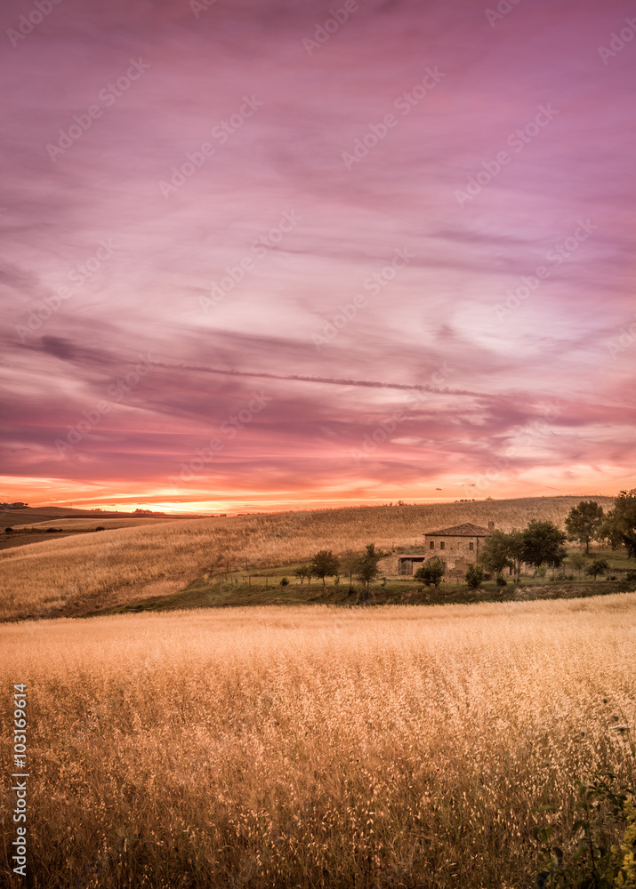 Purple tuscan sunset
