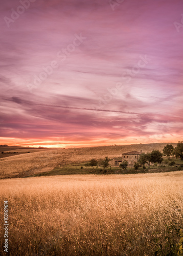 Purple tuscan sunset