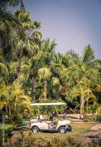 Club cart among palm trees photo