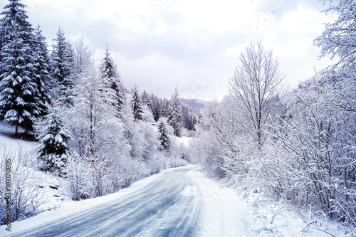 Winding road in snowy forest © alexlukin