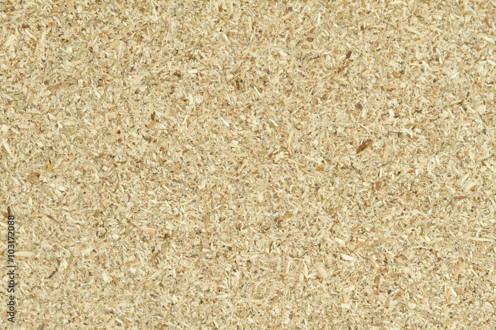 Plywood texture Plywood texture