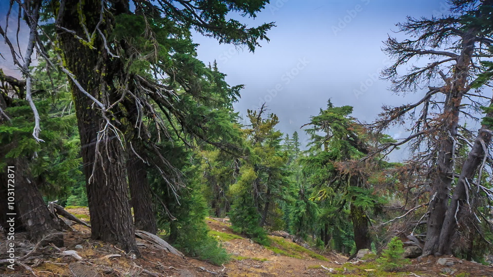 Crater Lake National Park, Oregon, USA Crater Lake National Park, Oregon, USA