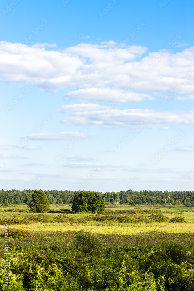 Biebrza National Park, Podlaskie Voivodeship, Poland Biebrza National Park, Podlaskie Voivodeship, Poland