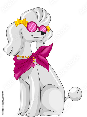 Poodle Fashion Style