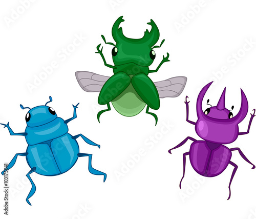 Beetles